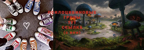 бошки Аркадак