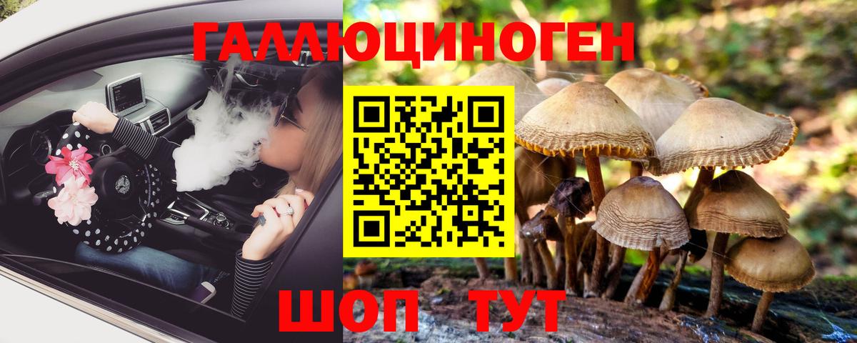Галлюциногенные грибы ЛСД Шахты